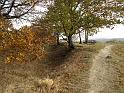 2011-11-05, Hohnstein (15)